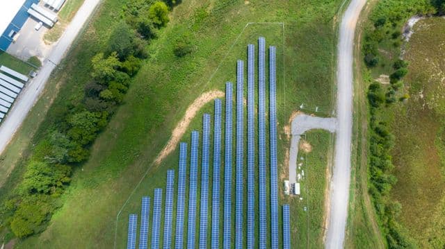 An aerial detail of blue solar panels set among green fields.